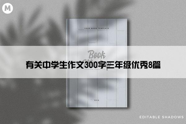 有关中学生作文300字三年级优秀8篇