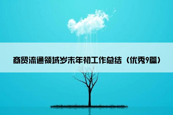 商贸流通领域岁末年初工作总结（优秀9篇）