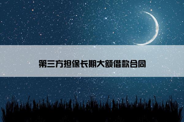 第三方担保长期大额借款合同