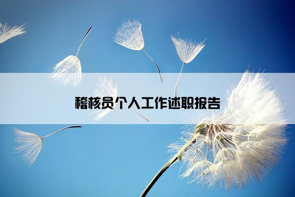 稽核员个人工作述职报告