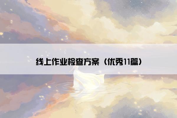 线上作业检查方案（优秀11篇）