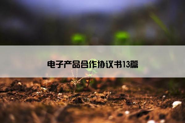 电子产品合作协议书13篇