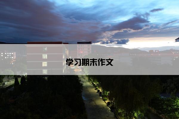 学习期末作文