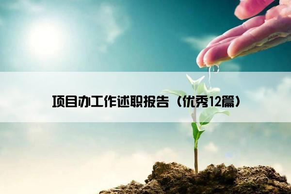 项目办工作述职报告（优秀12篇）