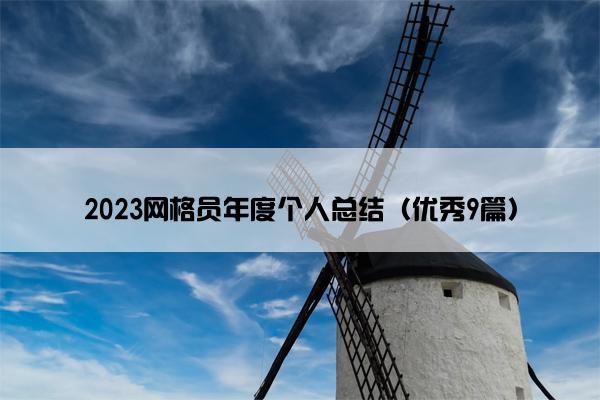 2023网格员年度个人总结（优秀9篇）