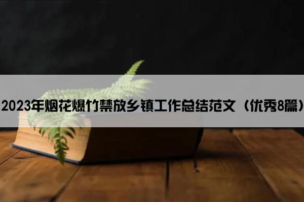 2023年烟花爆竹禁放乡镇工作总结范文(优秀8篇) 2023年烟花爆竹禁放乡镇工作总结范文(优秀8篇)