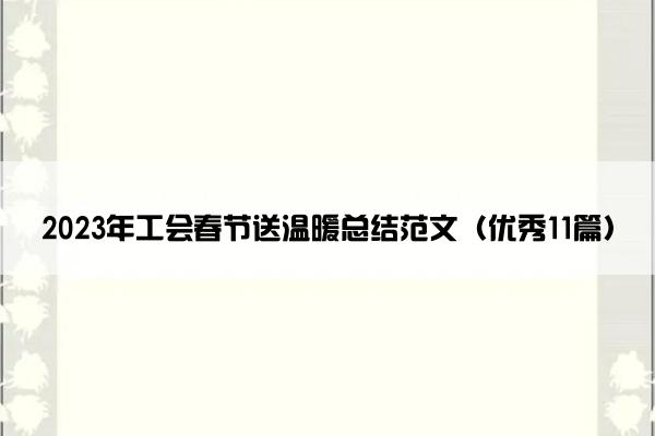 2023年工会春节送温暖总结范文（优秀11篇）