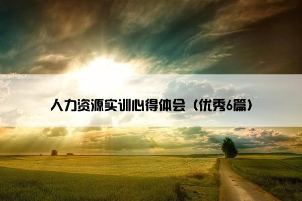 人力资源实训心得体会（优秀6篇）