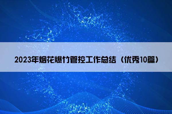 2023年烟花爆竹管控工作总结（优秀10篇）