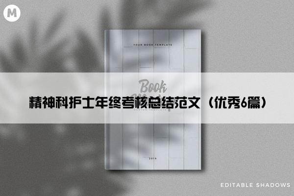 精神科护士年终考核总结范文（优秀6篇）