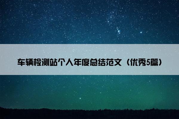 车辆检测站个人年度总结范文（优秀5篇）