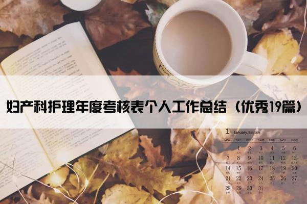 妇产科护理年度考核表个人工作总结（优秀19篇）