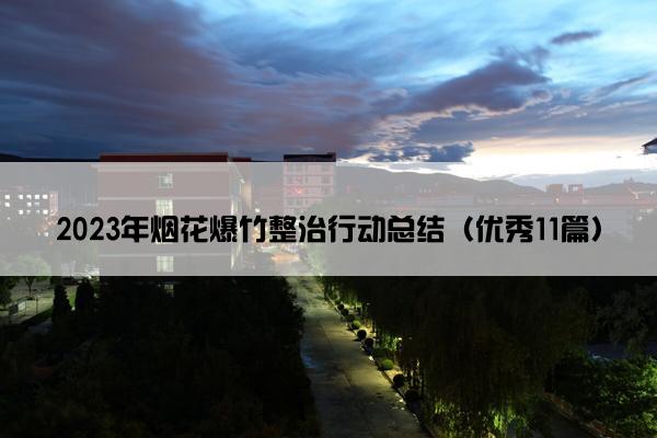 2023年烟花爆竹整治行动总结（优秀11篇）