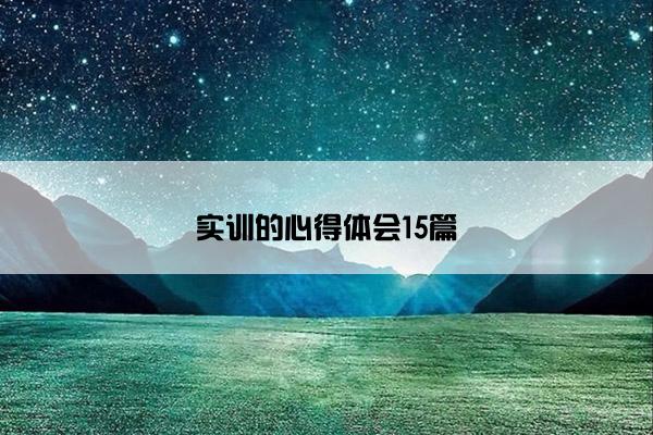 实训的心得体会15篇