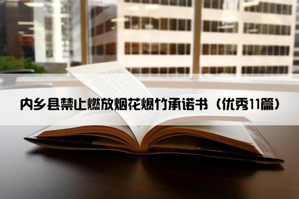 内乡县禁止燃放烟花爆竹承诺书（优秀11篇）