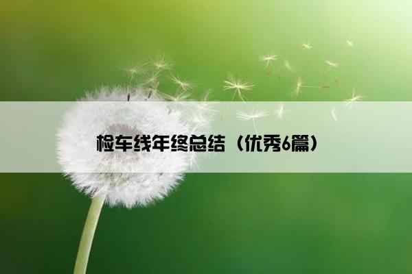检车线年终总结（优秀6篇）