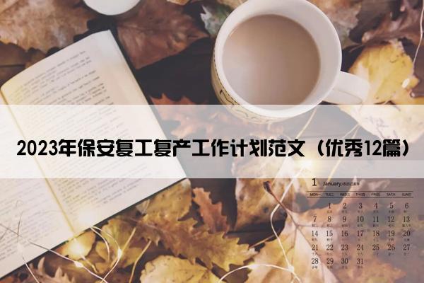 2023年保安复工复产工作计划范文（优秀12篇）