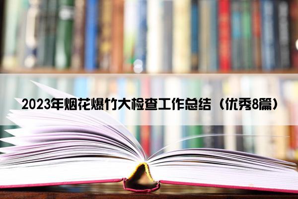 2023年烟花爆竹大检查工作总结（优秀8篇）