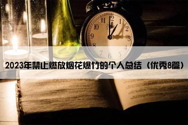 2023年禁止燃放烟花爆竹的个人总结（优秀8篇）