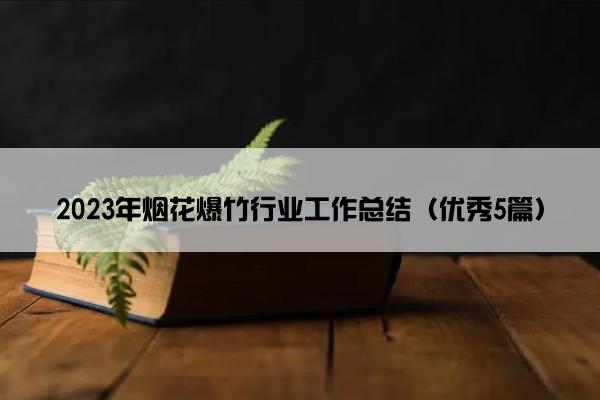 2023年烟花爆竹行业工作总结（优秀5篇）