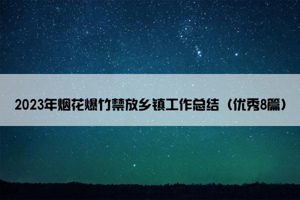 2023年烟花爆竹禁放乡镇工作总结（优秀8篇）