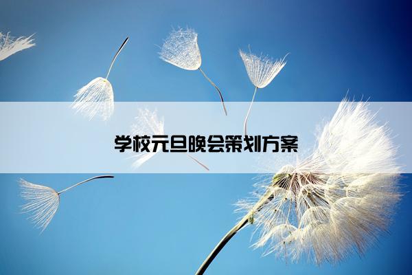学校元旦晚会策划方案