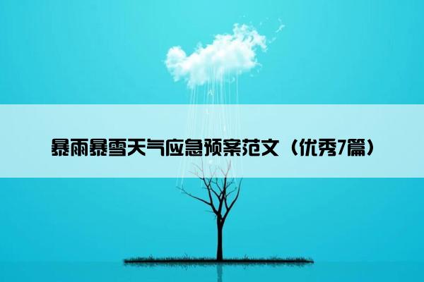 暴雨暴雪天气应急预案范文（优秀7篇）