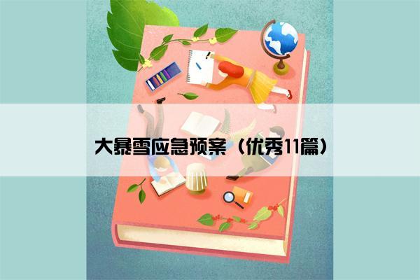 大暴雪应急预案（优秀11篇）