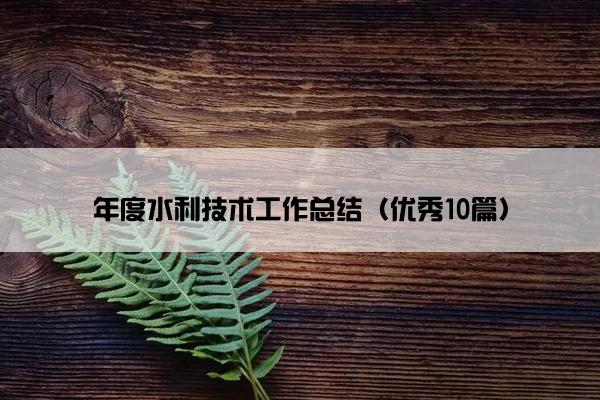 年度水利技术工作总结（优秀10篇）