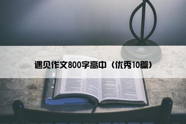 遇见作文800字高中（优秀10篇）