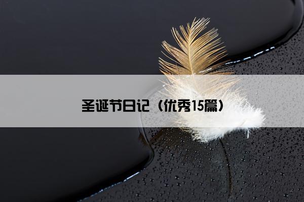 圣诞节日记（优秀15篇）