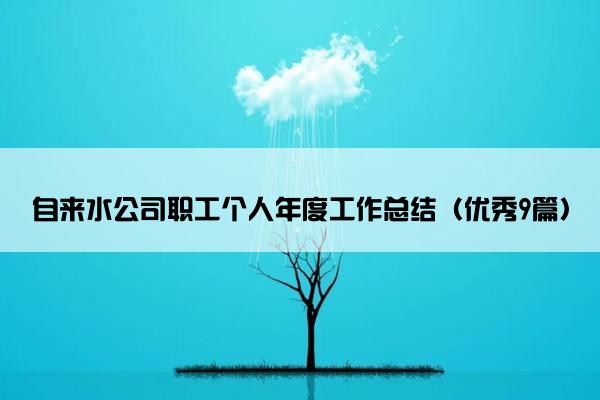自来水公司职工个人年度工作总结（优秀9篇）