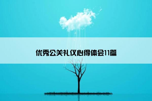 优秀公关礼仪心得体会11篇