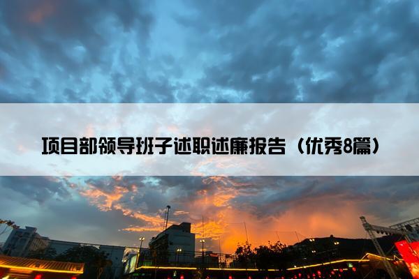 项目部领导班子述职述廉报告（优秀8篇）