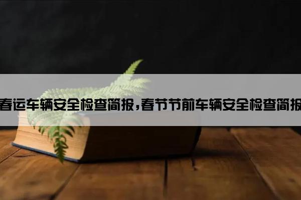 春运车辆安全检查简报,春节节前车辆安全检查简报