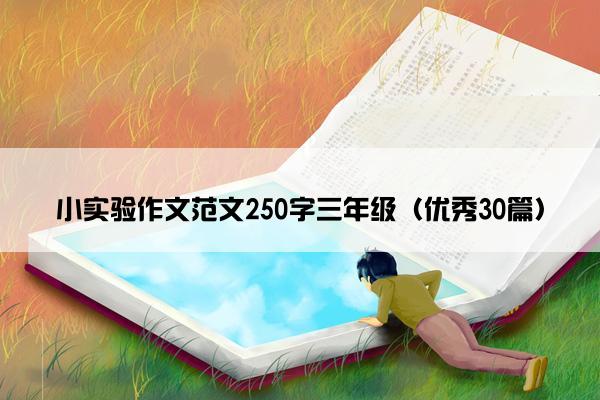 小实验作文范文250字三年级（优秀30篇）