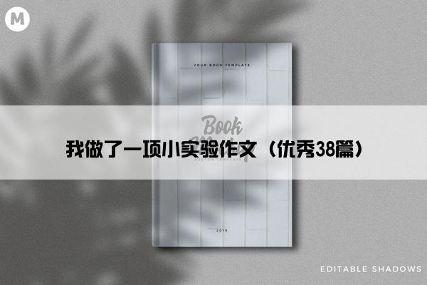 我做了一项小实验作文（优秀38篇）