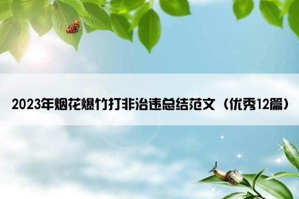 2023年烟花爆竹打非治违总结范文（优秀12篇）