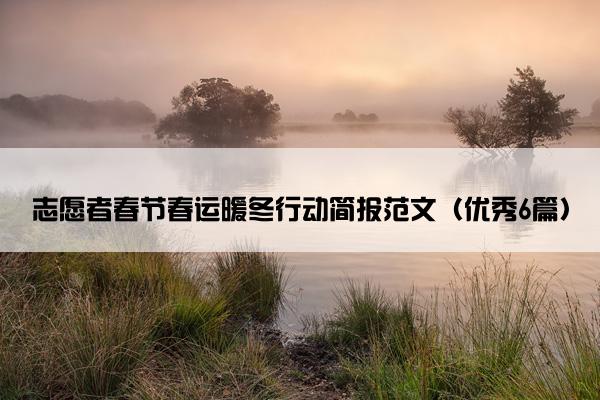 志愿者春节春运暖冬行动简报范文（优秀6篇）