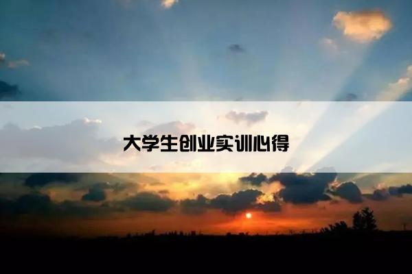 大学生创业实训心得