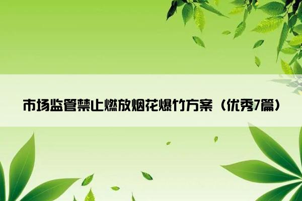 市场监管禁止燃放烟花爆竹方案（优秀7篇）