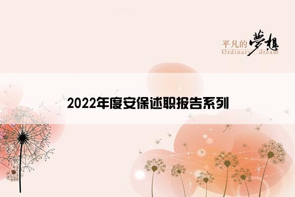 2022年度安保述职报告系列