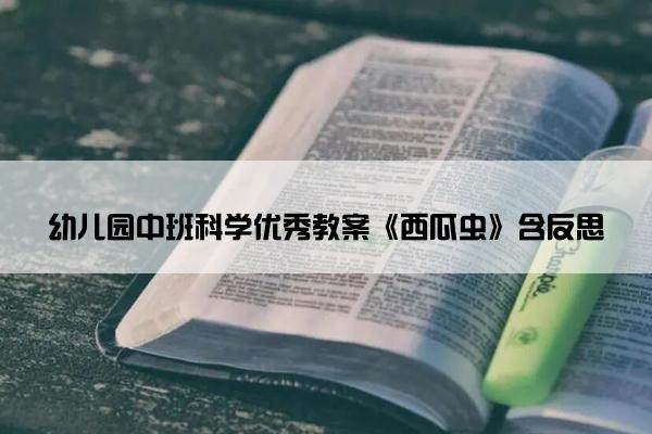 幼儿园中班科学优秀教案《西瓜虫》含反思