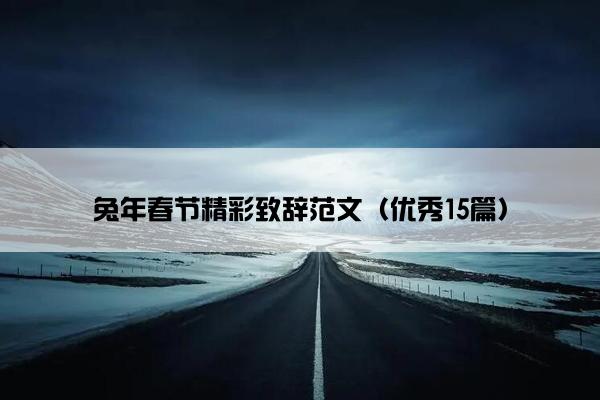 兔年春节精彩致辞范文（优秀15篇）