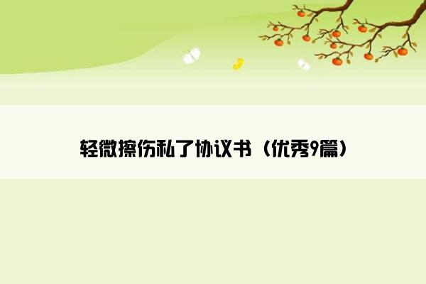 轻微擦伤私了协议书（优秀9篇）