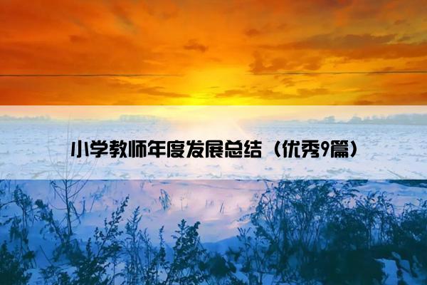 小学教师年度发展总结（优秀9篇）