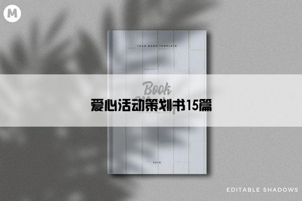 爱心活动策划书15篇 爱心活动策划书15篇