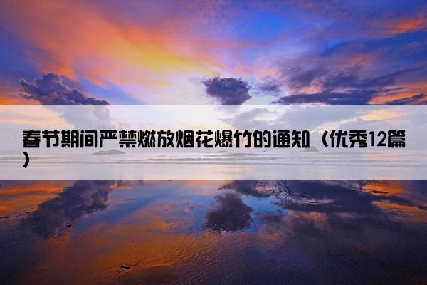 春节期间严禁燃放烟花爆竹的通知（优秀12篇）