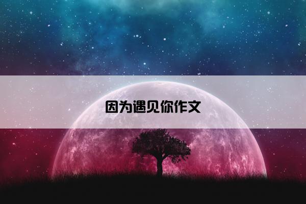 因为遇见你作文