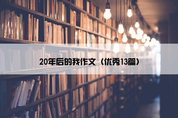20年后的我作文（优秀13篇）
